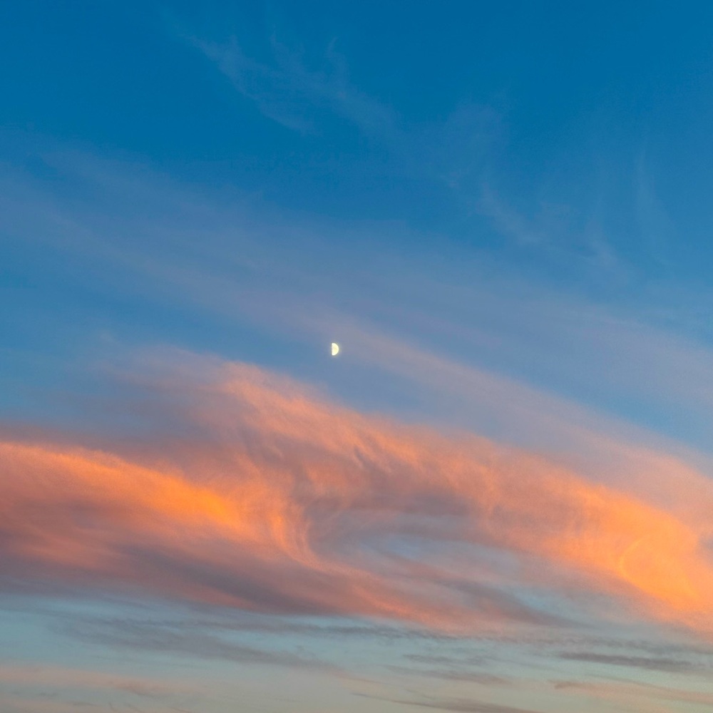 Meet your Posher, Angelica